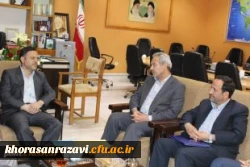 معاون استاندار