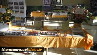 همزمان با نخستین همایش ملی انجمن های ورزشی سراسر کشور برگزار شد:
کارگاه های تخصصی علمی – ورزشی ویژه دبیران انجمن های ورزشی دانشجویی