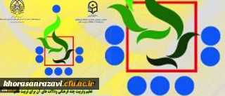 چهارمین کرسی ترویجی عرضه و نقد ایده علمی دانشگاه فرهنگیان