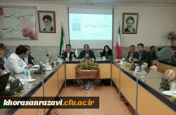 مدیر امور پردیس های دانشگاه فرهنگیان خراسان رضوی:

فارغ التحصیلی بیش از سه هزار دانشجومعلم از دانشگاه فرهنگیان خراسان رضوی