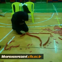 برگزاری دومین جشنواره ورزش های همگانی به مناسبت روزدانشجو 3