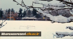 گالری تصاویر  روز های برفی دانشگاه فرهنگیان خراسان رضوی 