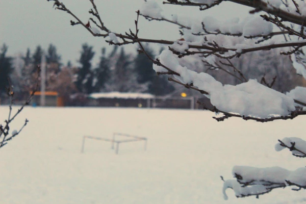 گالری تصاویر  روز های برفی دانشگاه فرهنگیان خراسان رضوی  2