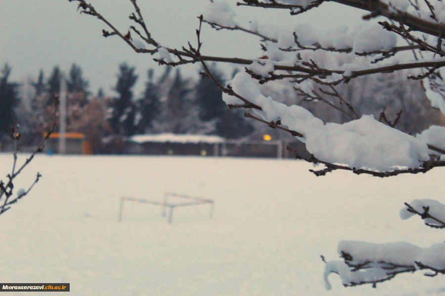 گالری تصاویر  روز های برفی دانشگاه فرهنگیان خراسان رضوی  2