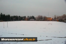 گالری تصاویر  روز های برفی دانشگاه فرهنگیان خراسان رضوی  4