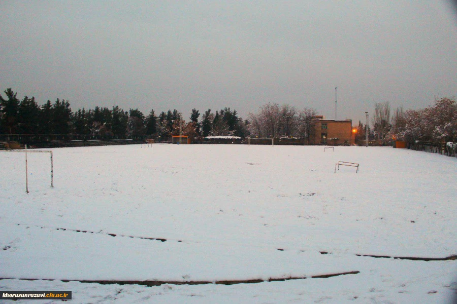 گالری تصاویر  روز های برفی دانشگاه فرهنگیان خراسان رضوی  4