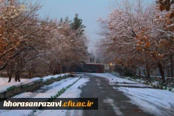 گالری تصاویر  روز های برفی دانشگاه فرهنگیان خراسان رضوی  5