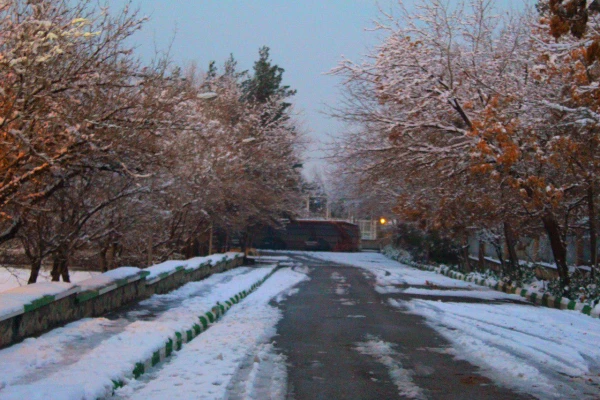 گالری تصاویر  روز های برفی دانشگاه فرهنگیان خراسان رضوی  5