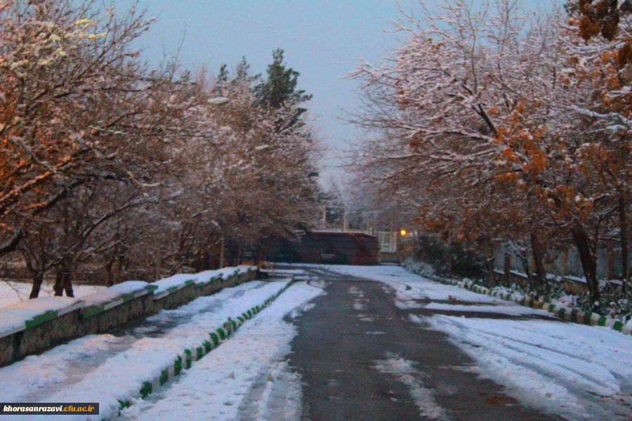 گالری تصاویر  روز های برفی دانشگاه فرهنگیان خراسان رضوی  5