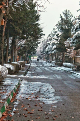 گالری تصاویر  روز های برفی دانشگاه فرهنگیان خراسان رضوی  6