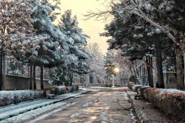 گالری تصاویر  روز های برفی دانشگاه فرهنگیان خراسان رضوی  10