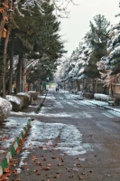 گالری تصاویر  روز های برفی دانشگاه فرهنگیان خراسان رضوی  14