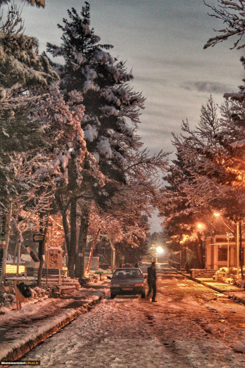 گالری تصاویر  روز های برفی دانشگاه فرهنگیان خراسان رضوی  17