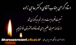 جناب آقای دکتر محمد رضا حاجی زاده اسفدن