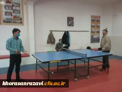 مسابقات ورزشی کارکنان به مناسبت هتفه تربیت بدنی 2