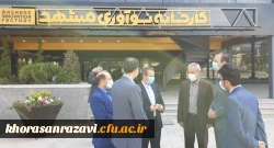 بازدید دکتر علی باقر طاهری نیا معاون پژوهشی و فناوری دانشگاه فرهنگیان کشور از کارخانه نوآوری مشهد
