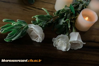 پیام تسلیت سرپرست وزارت آموزش و پرورش به مناسبت درگذشت دانشجومعلم فداکار «محمد روانان»