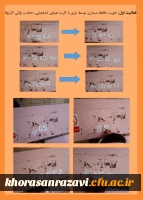 نمایشگاه مجازی هفته پژوهش دانشگاه فرهنگیان خراسان رضوی 15