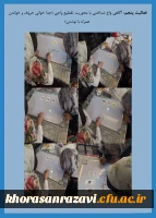 نمایشگاه مجازی هفته پژوهش دانشگاه فرهنگیان خراسان رضوی 26