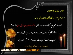 عرض تسلیت به همکار گرامی جناب آقای محمد احمدی 2