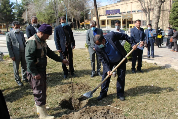 برگزاری مراسم اختتامیه جشنواره روانان در مشهد مقدس 13