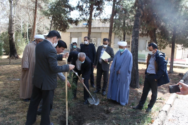 کاشت نهال به نام شهدای دانشگاه فرهنگیان خراسان رضوی 8