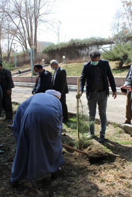 کاشت نهال به نام شهدای دانشگاه فرهنگیان خراسان رضوی 9