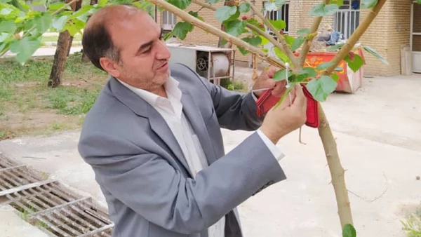 نامگذاری درختان پردیس شهید بهشتی به یاد شهدای تربیت معلم و همکاران درگذشته دانشگاه فرهنگیان خراسان رضوی