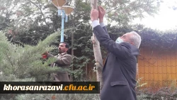 نامگذاری درختان پردیس شهید بهشتی به یاد شهدای تربیت معلم و همکاران درگذشته دانشگاه فرهنگیان خراسان رضوی