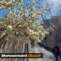 آثار برگزیدگان دانشگاه فرهنگیان خراسان رضوی در جشنواره کشوری عکس نوشته