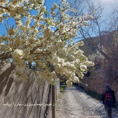 آثار برگزیدگان دانشگاه فرهنگیان خراسان رضوی در جشنواره کشوری عکس نوشته