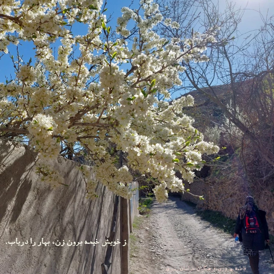 آثار برگزیدگان دانشگاه فرهنگیان خراسان رضوی در جشنواره کشوری عکس نوشته