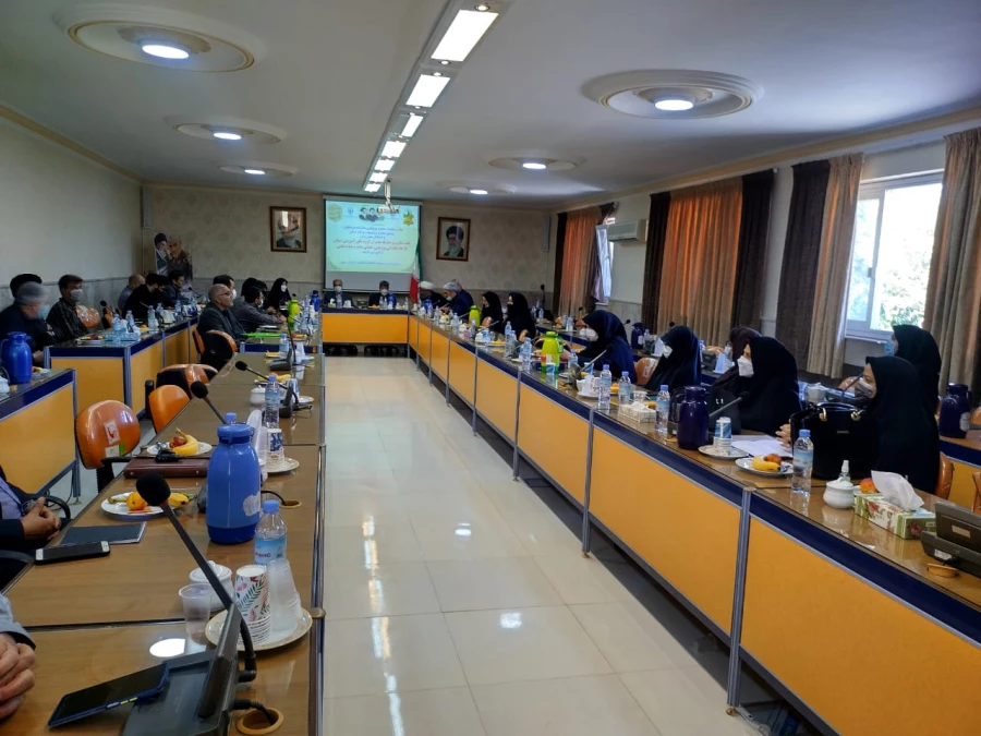 اعضای هیأت علمی در رأس فعالیت های دانشگاه هستند