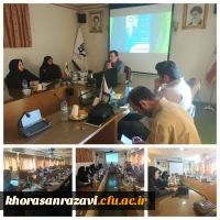 دوره بالندگی 